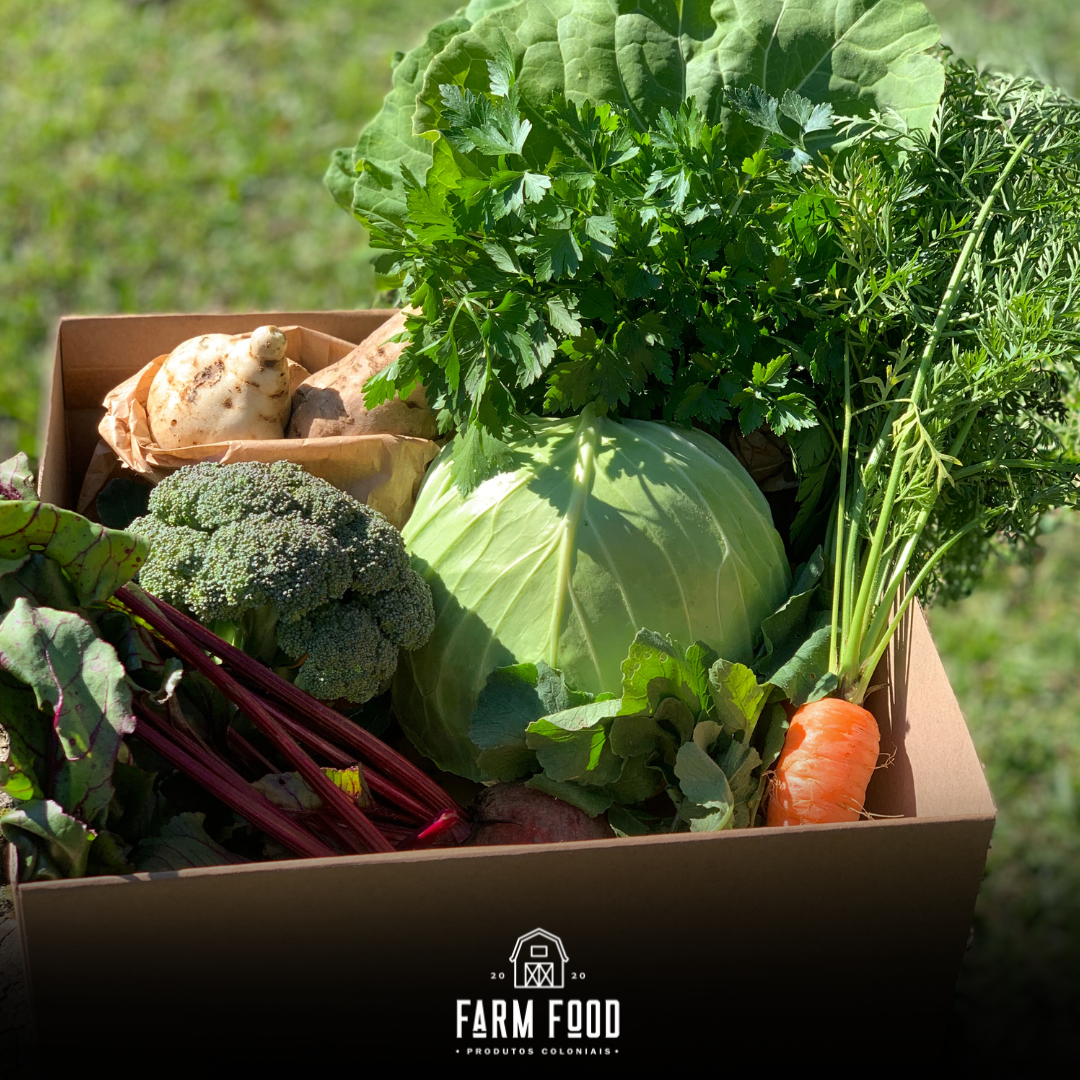 cesta de verduras farmfod são bento do sul. direto do produtor