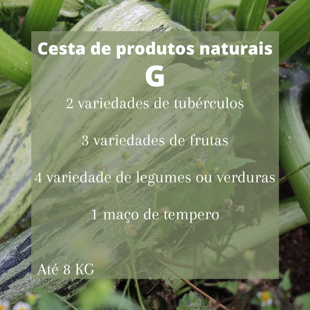 Cesta de produtos monte castelo