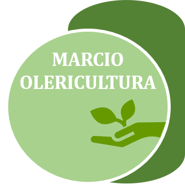 Logo Tipo