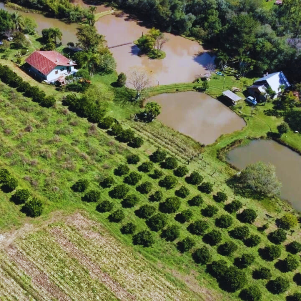 Colha e Pague de Laranja Bahia sem semente - Sítio Olho D'água - Rio Negro PR (safra 2024) propriedade.png